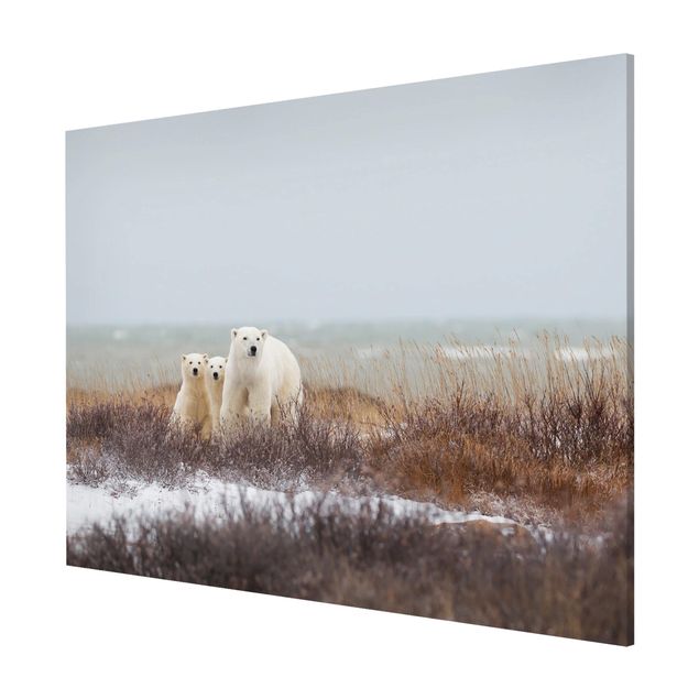 Magneetborden Polar Bear And Her Cubs