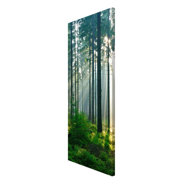 Magneetborden Enlightened Forest