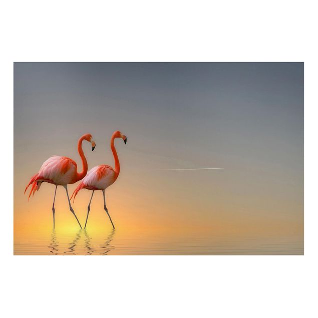Magneetborden Flamingo Love
