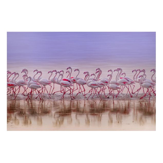 Magneetborden Flamingo Party