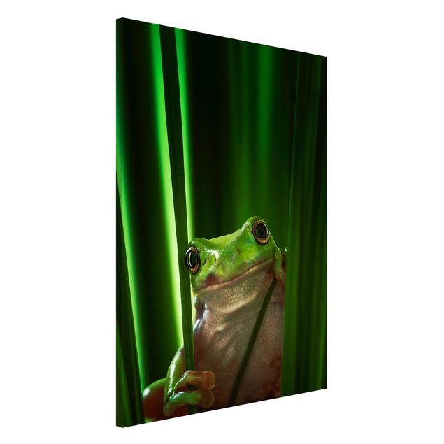Magneetborden Merry Frog