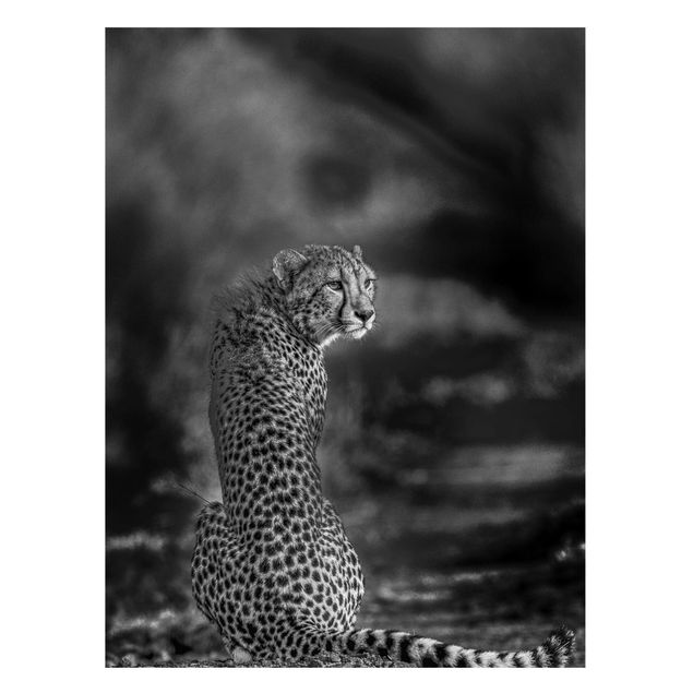 Magneetborden Cheetah In The Wildness