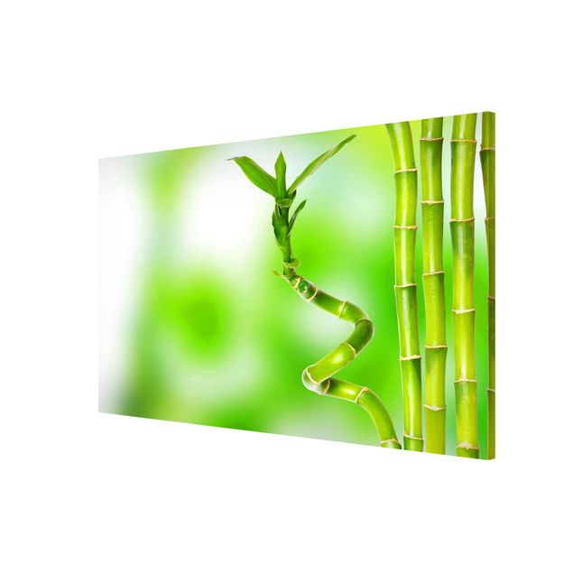 Magneetborden Green Bamboo