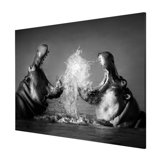 Magneetborden Hippo Fight