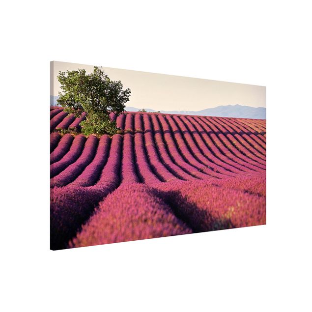 Magneetborden Lavender