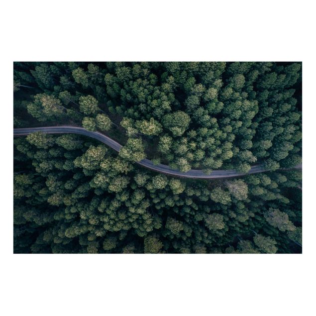 Magneetborden Aerial View - Forest Road From The Top