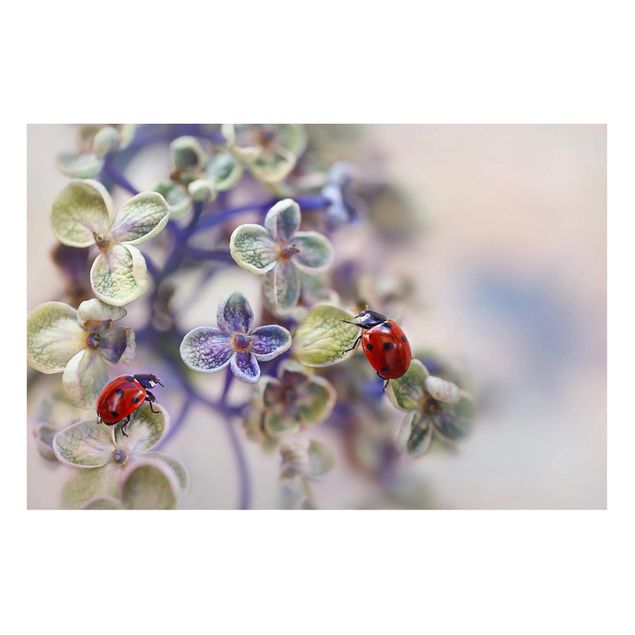 Magneetborden Ladybird In The Garden
