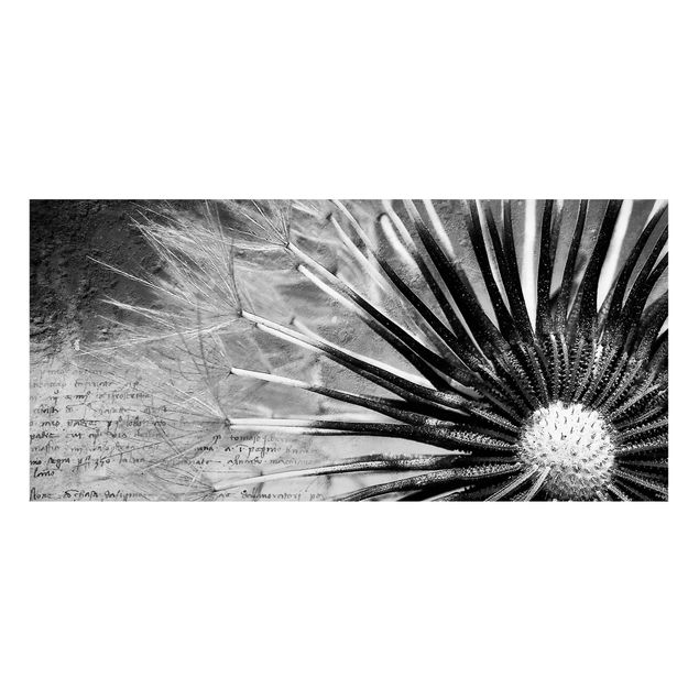Magneetborden Dandelion Black & White