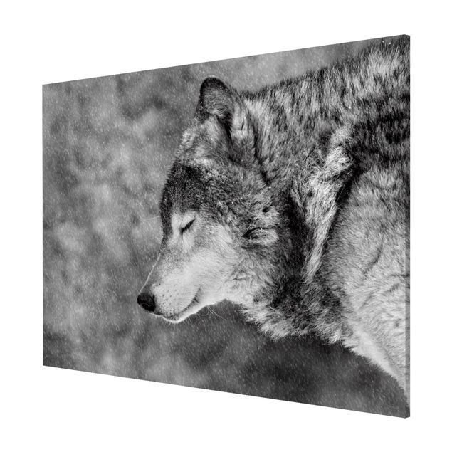 Magneetborden Winter Wolf