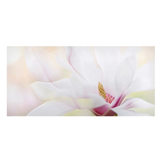 Magneetborden Delicate Magnolia Blossom