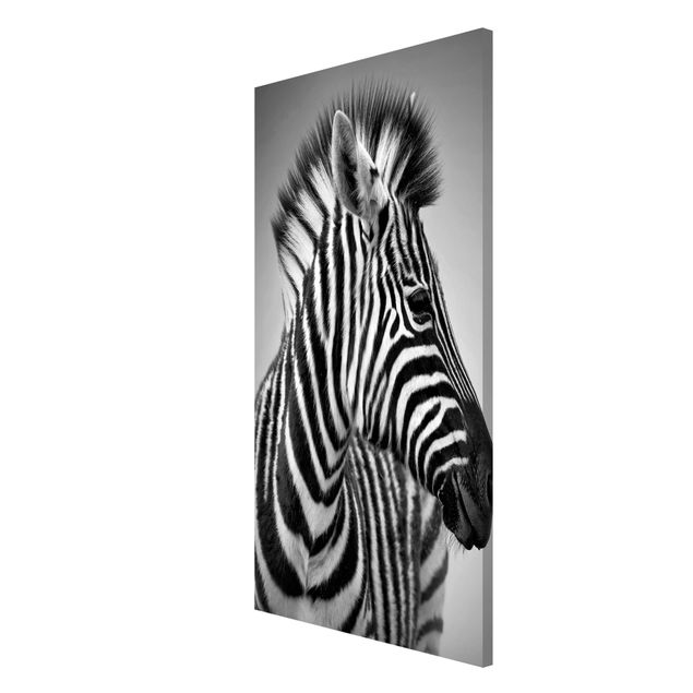 Magneetborden Zebra Baby Portrait II