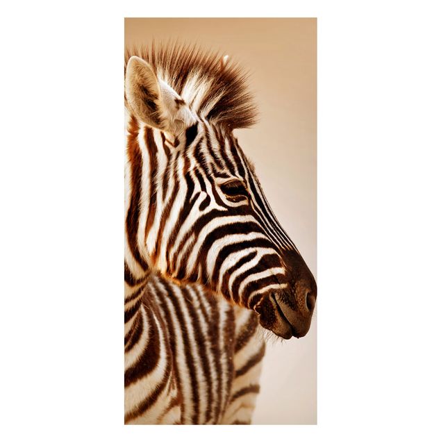 Magneetborden Zebra Baby Portrait