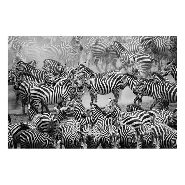Magneetborden Zebra herd II