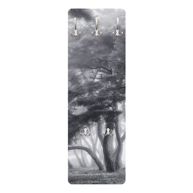 Wandkapstokken houten paneel - Majestic Trees In Black And White