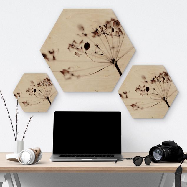 Hexagons houten schilderijen Macro Image Dried Flowers In Shadow