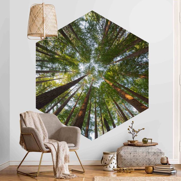 Hexagon Behang Sequoia Tree Tops
