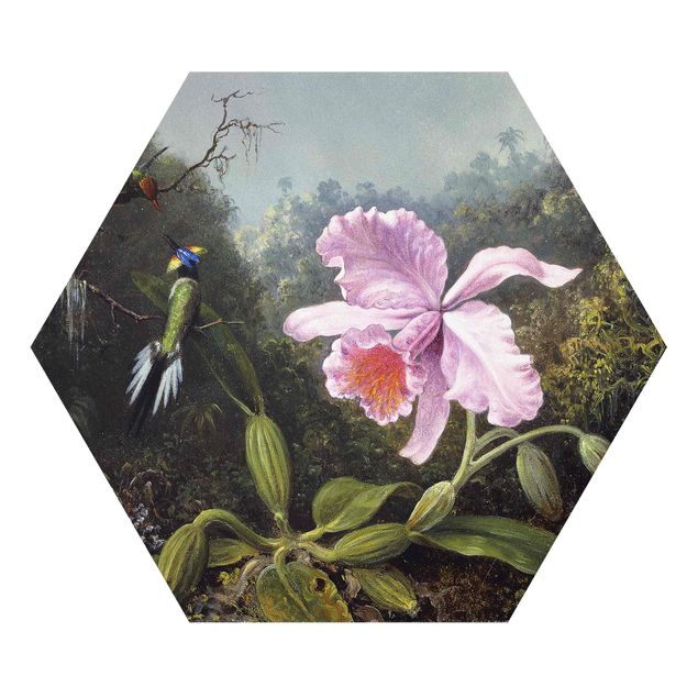 Hexagons Forex schilderijen - Martin Johnson Heade - Still Life With An Orchid And A Pair Of Hummingbirds
