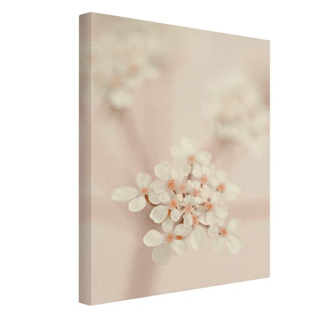 Canvas schilderijen - Goud Mini Flowers In Pink Light