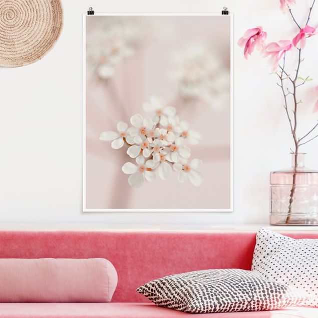 Posters Mini Flowers In Pink Light