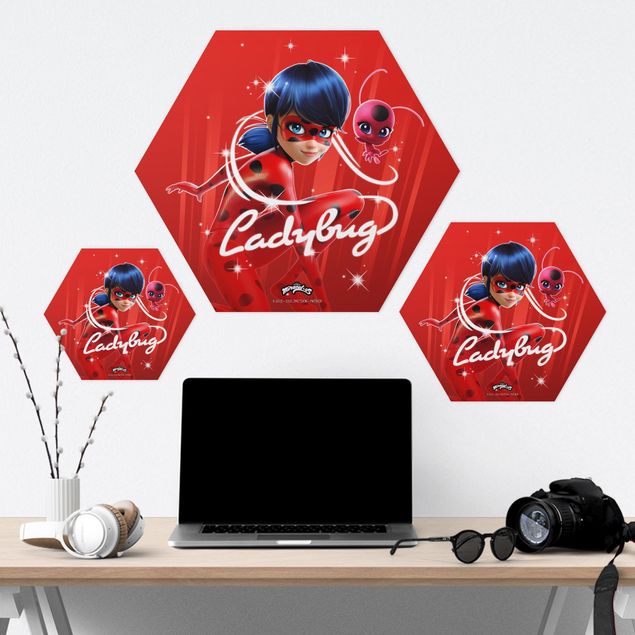 Hexagons Forex schilderijen - Miraculous Ladybug And Trixx