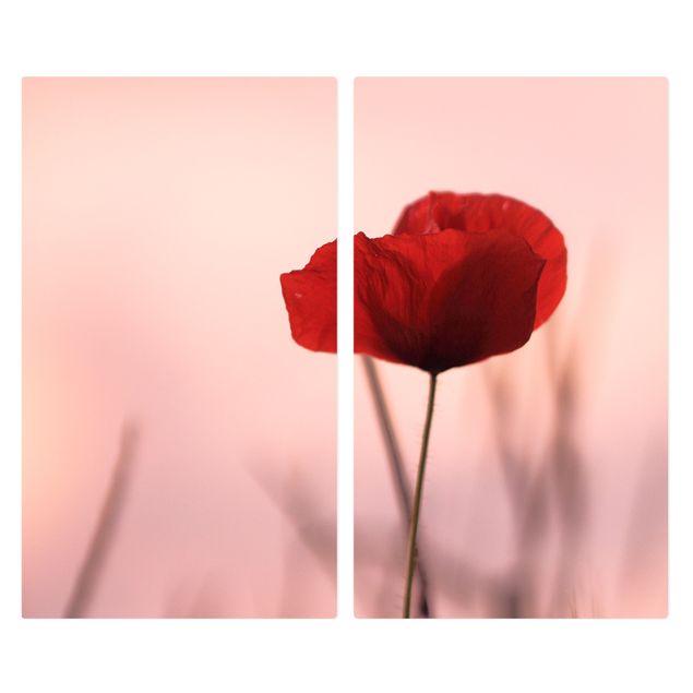 Kookplaat afdekplaten Poppy Flower In Twilight