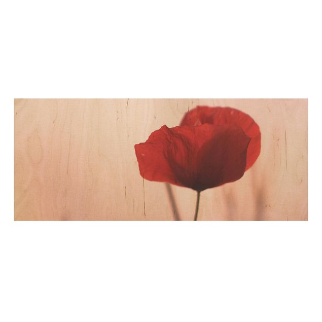 Houten schilderijen Poppy Flower In Twilight