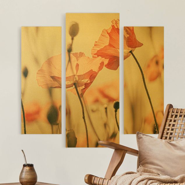 Canvas schilderijen - 3-delig Poppy Flowers In Summer Breeze