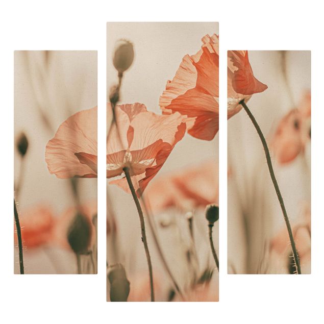 Natuurlijk canvas schilderijen - 3-delig Poppy Flowers In Summer Breeze