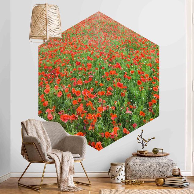 Hexagon Behang Poppy Field