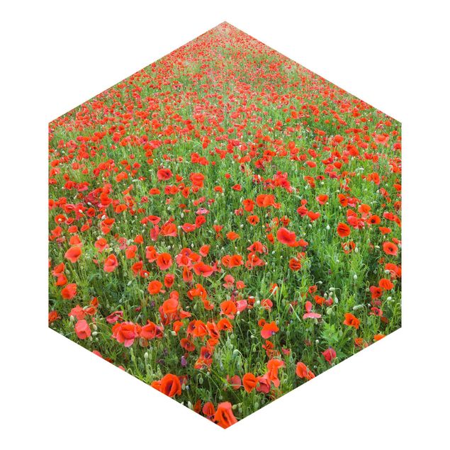 Hexagon Behang Poppy Field