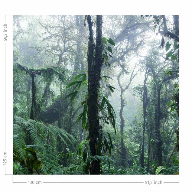 Gordijnen bos Monteverde Cloud Forest