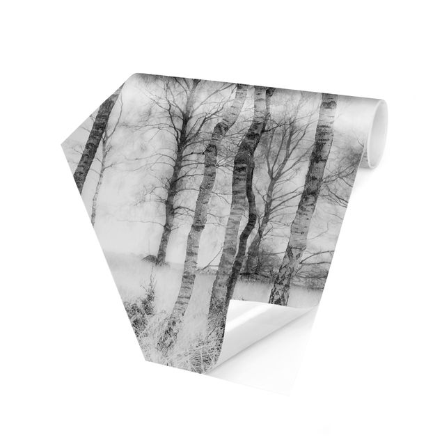 Hexagon Behang Mystic Birch Forest Black And White