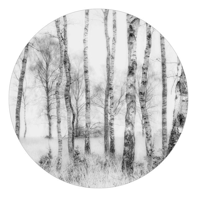 Behangcirkel Mystic Birch Forest Black And White
