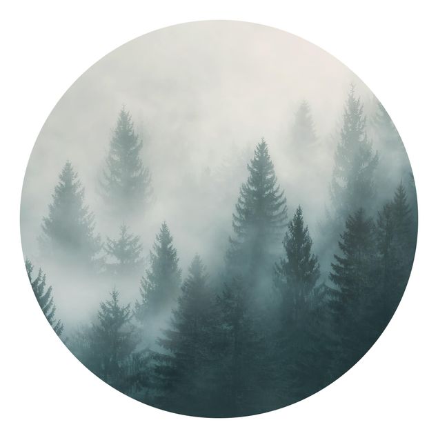Behangcirkel Coniferous Forest In Fog