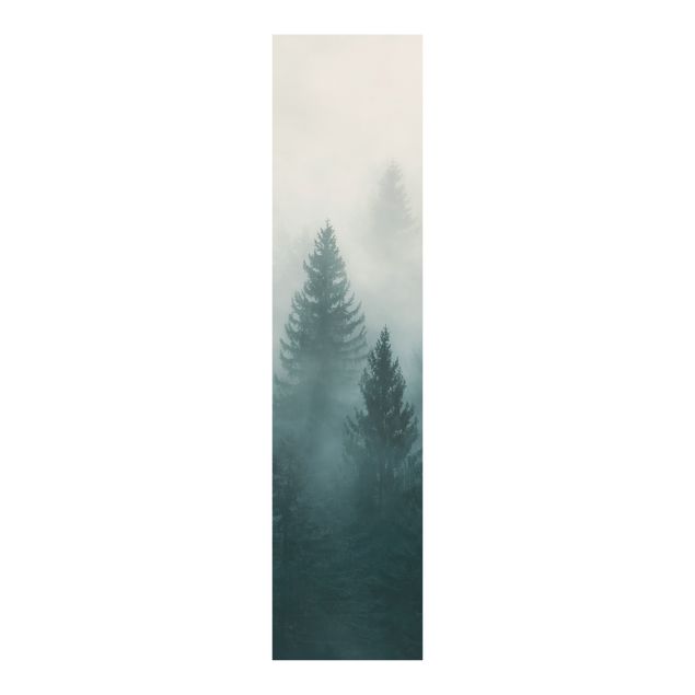 Schuifgordijnen Coniferous Forest In Fog