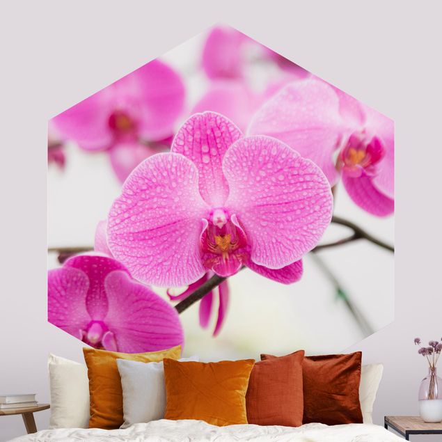 Hexagon Behang Close-Up Orchid