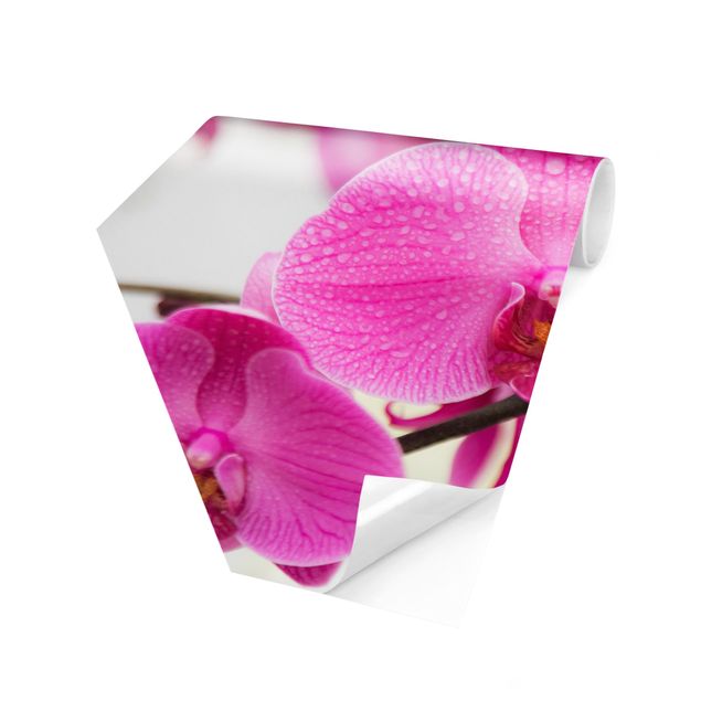 Hexagon Behang Close-Up Orchid