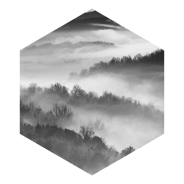Hexagon Behang Fog At Sunset Black And White