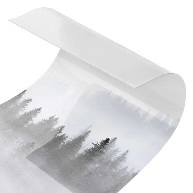 Duschrückwand - Nebel im Tannenwald Schwarz-weiß