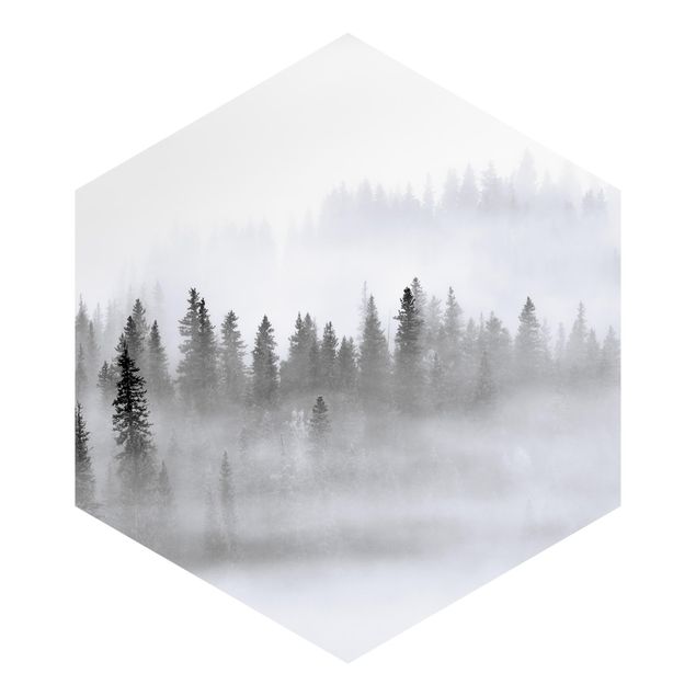 Hexagon Behang Fog In The Fir Forest Black And White