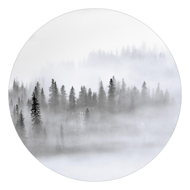 Behangcirkel Fog In The Fir Forest Black And White