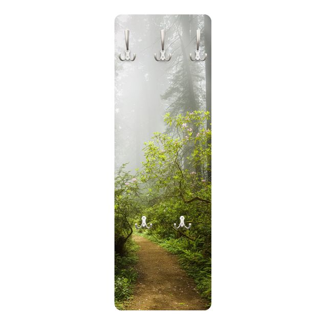 Wandkapstokken houten paneel Misty Forest Path