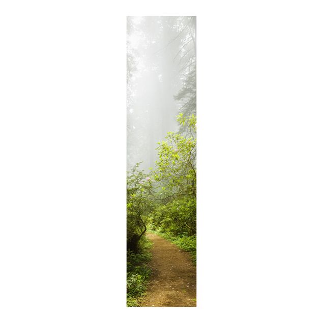 Schuifgordijnen Misty Forest Path