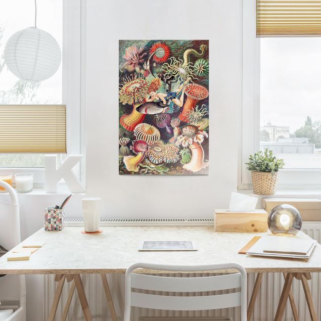 Glasschilderijen Nymph With Sea Anemone