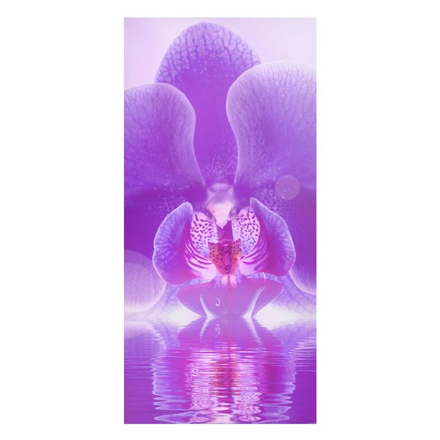 Magneetborden Purple Orchid On Water