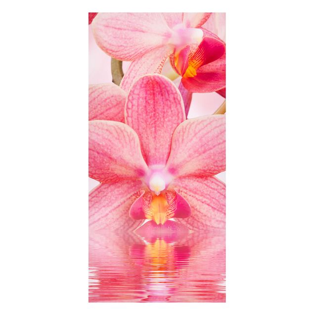 Magneetborden Light Pink Orchid On Water