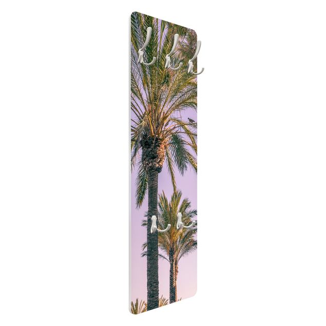 Wandkapstokken houten paneel Palm Trees At Sunset