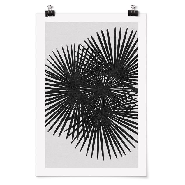 Posters Palm Leaves In Black And White