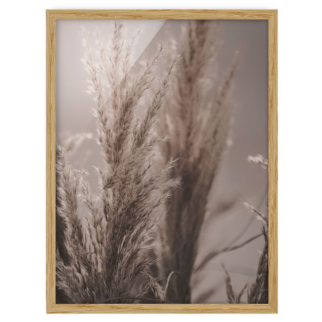 Ingelijste posters Pampas Grass In Late Fall
