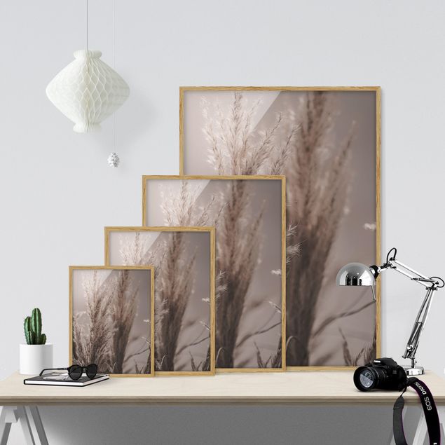 Ingelijste posters Pampas Grass In Late Fall